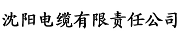 国产ai精品香蕉视频电缆厂logo